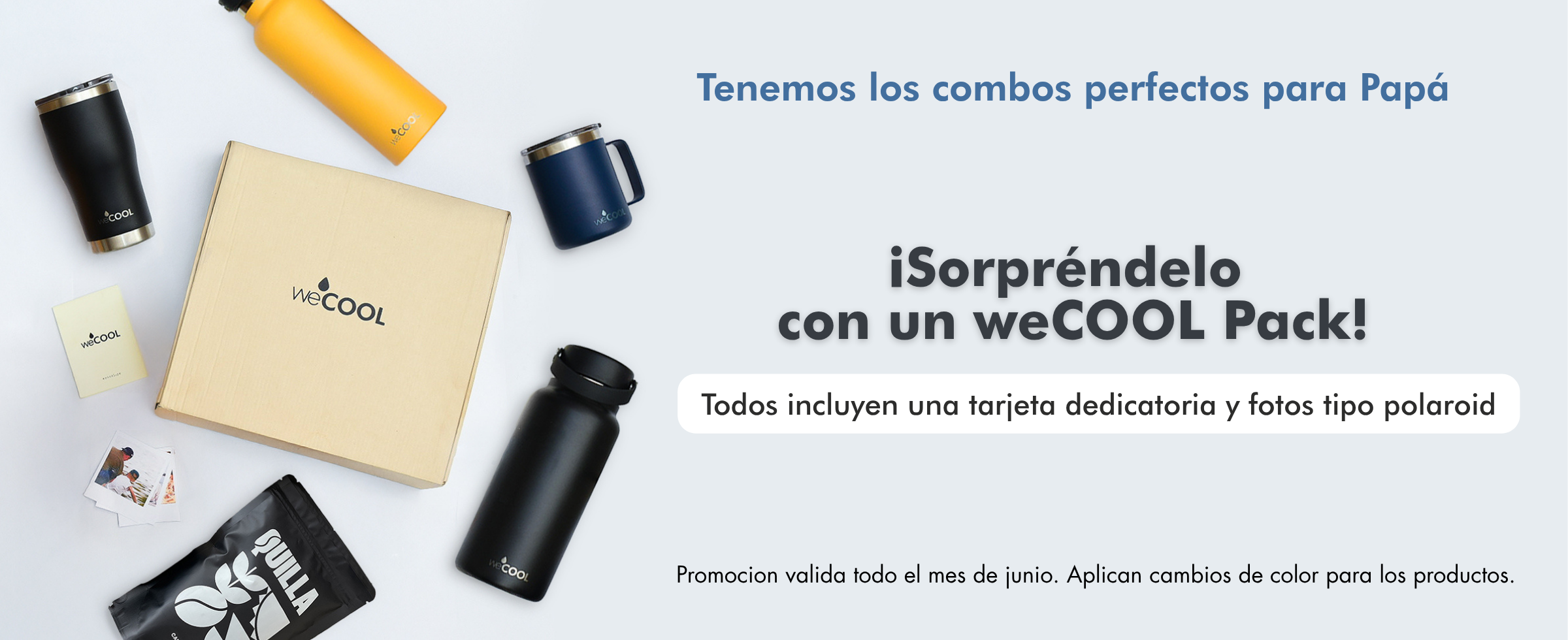 WECOOL HOME 2 banner papa 2 pc