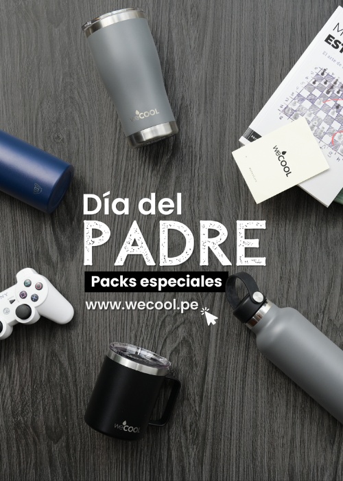 WECOOL HOME 5 banner dia padre mobile
