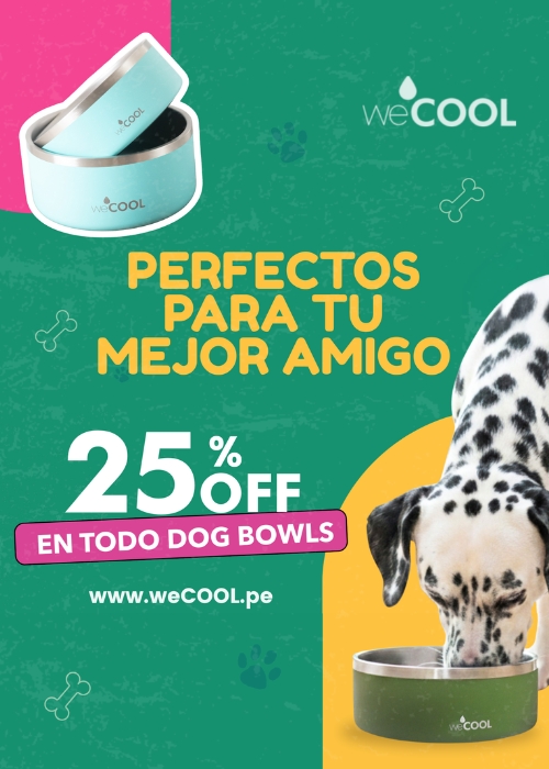 banner summer mobile 1